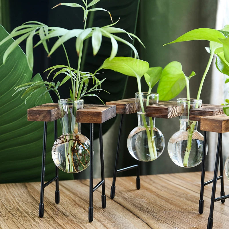 hydroponic hanging plants Glass Plant Vase with Metal and Wooden Stand Three Vases