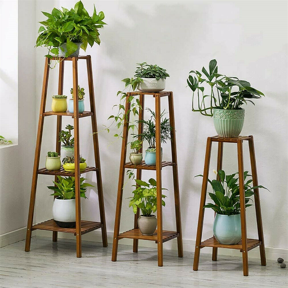 bamboo plant stands indoor "TAKAI TAKE NO KI"