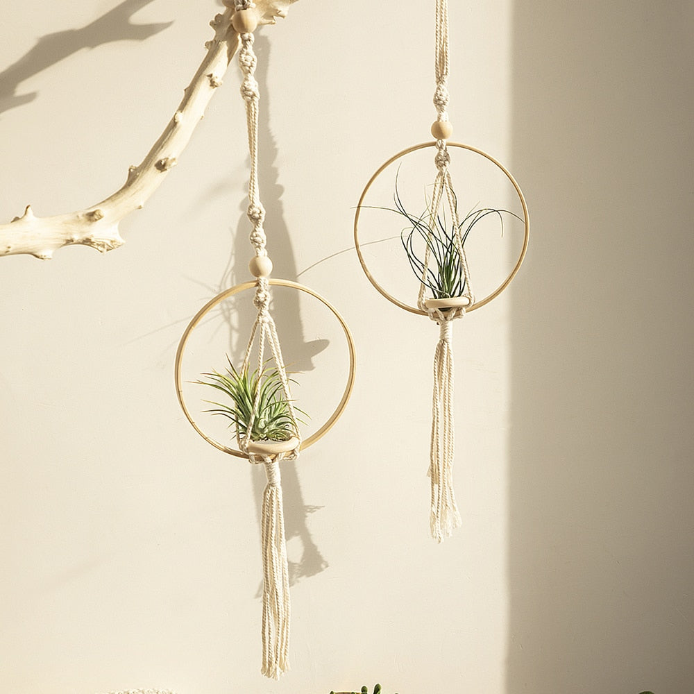 air plant holder macrame MACRAMÉ