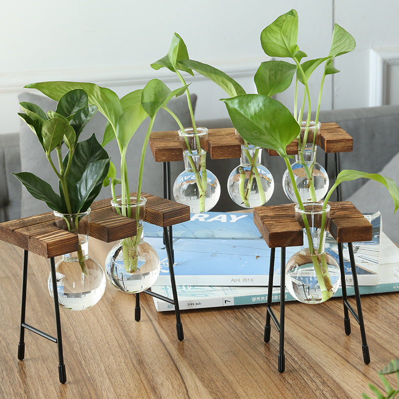 hydroponic plant vase Glass Plant Vase with Metal and Wooden Stand Three Vases