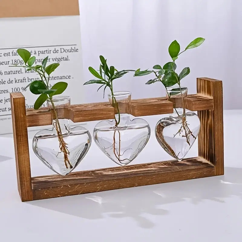 hydroponic plant vase "HARMONY IN NATURE"